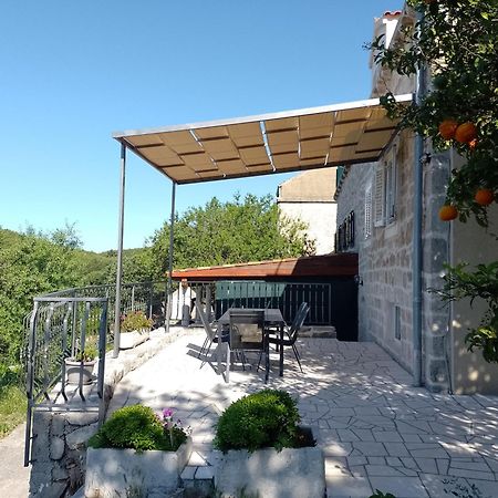 Holiday Apartments Maslina Paho Babino Polje エクステリア 写真
