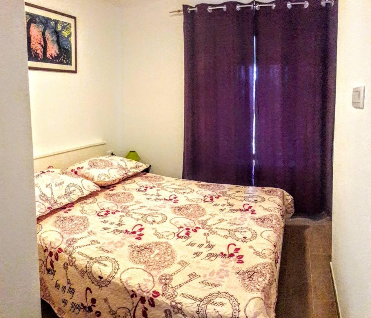 Holiday Apartments Maslina Paho Babino Polje エクステリア 写真