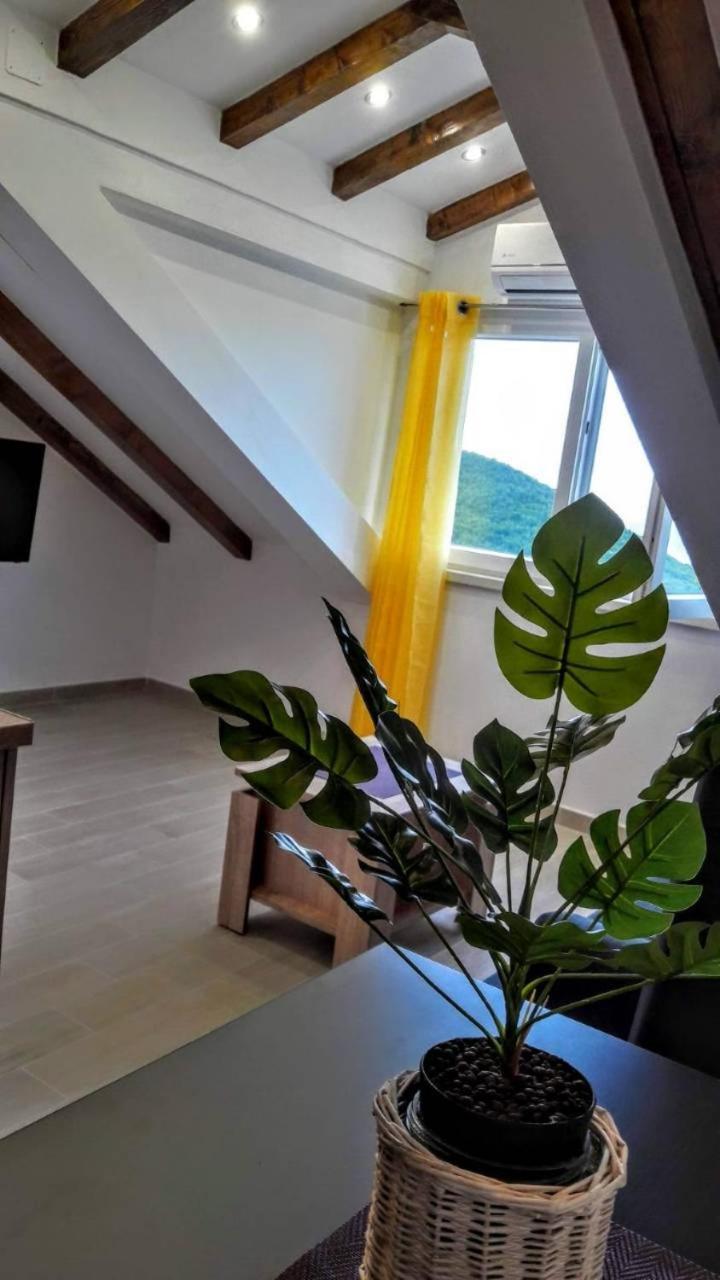 Holiday Apartments Maslina Paho Babino Polje エクステリア 写真